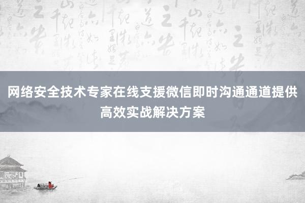 网络安全技术专家在线支援微信即时沟通通道提供高效实战解决方案