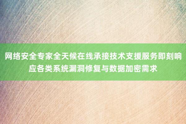 网络安全专家全天候在线承接技术支援服务即刻响应各类系统漏洞修复与数据加密需求