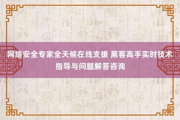 网络安全专家全天候在线支援 黑客高手实时技术指导与问题解答咨询